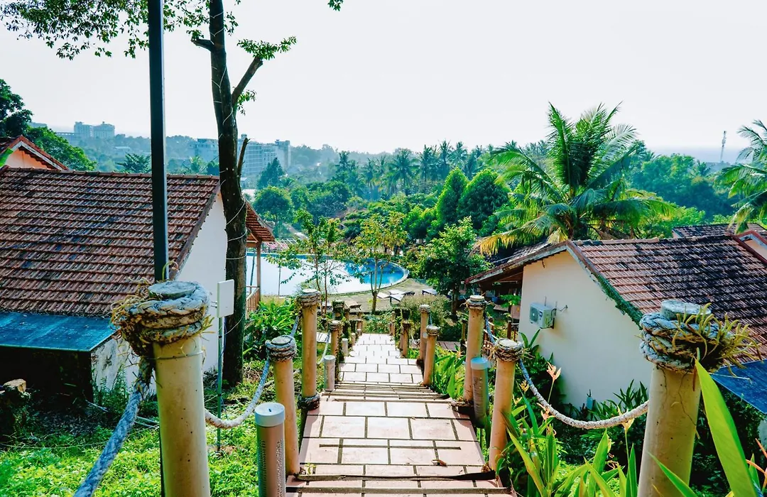 Daisy Resort-1