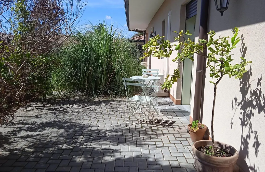 L'elicriso B&B-1