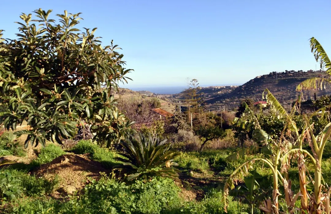 Granatelli Holiday Home-1