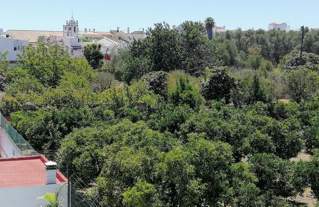 Villa Cerro E Mar-1
