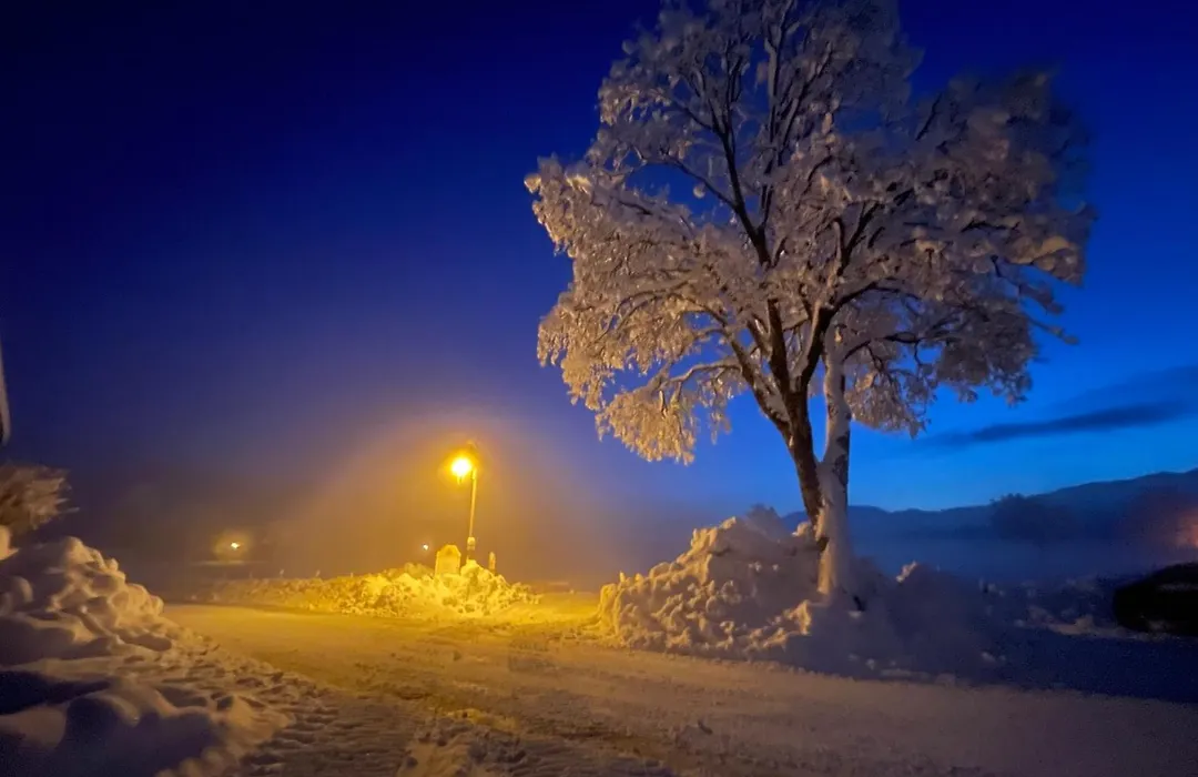Gästehaus Seeklause-1