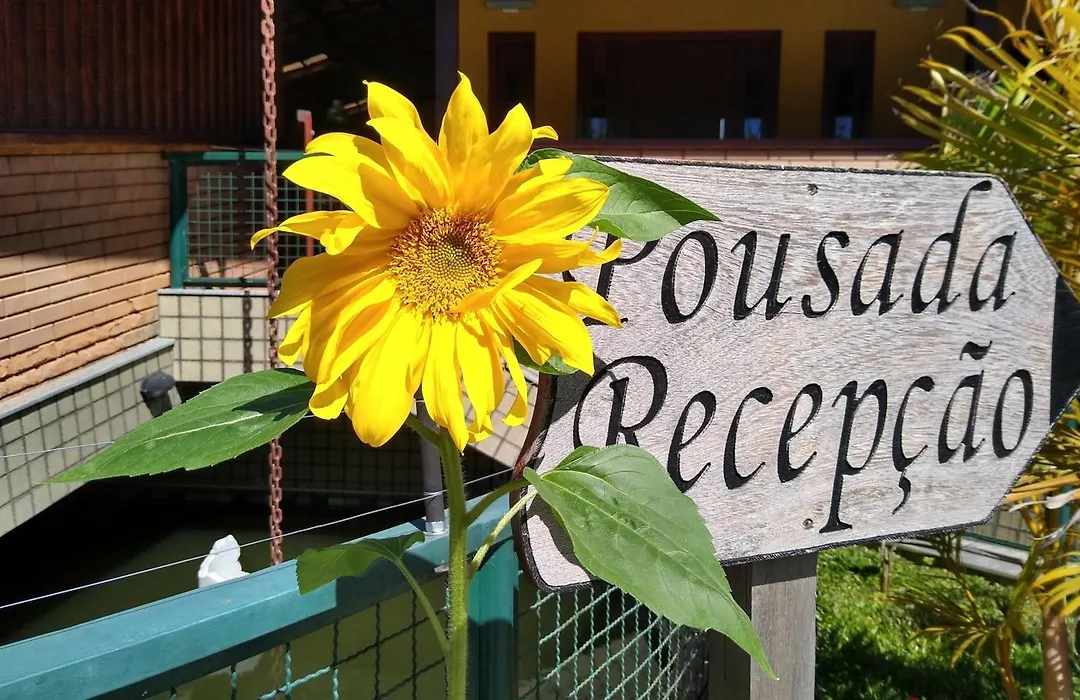 Pousada Recanto das Flores-1