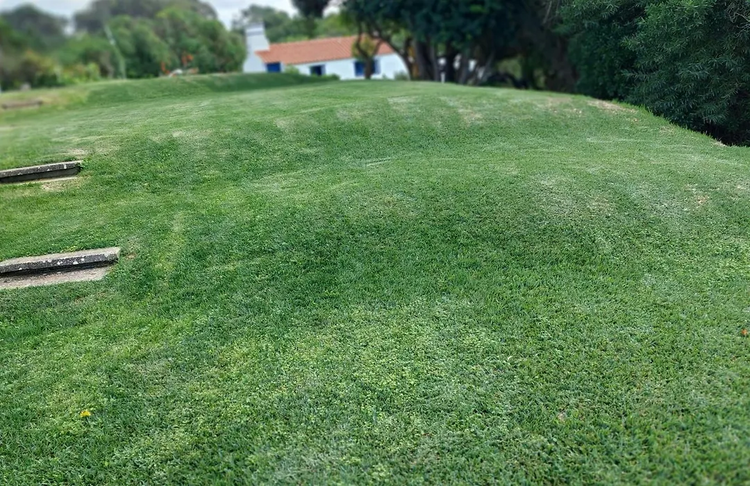 Herdade AMÁLIA RODRIGUES-1