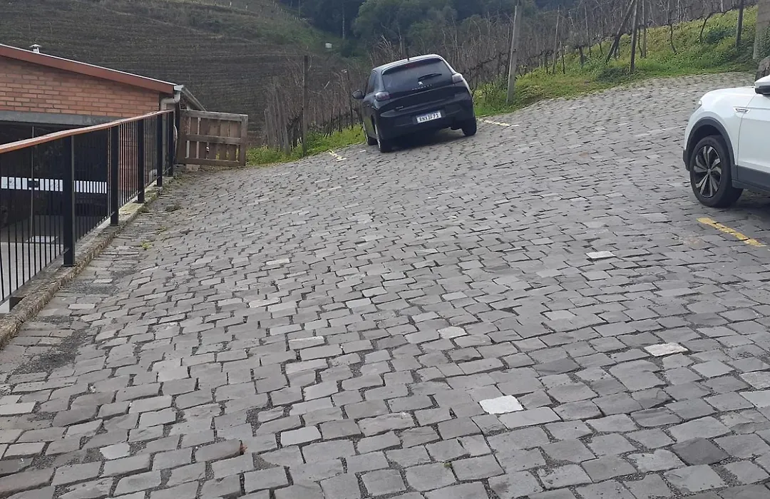 Vinicola e Pousada Peculiare-1