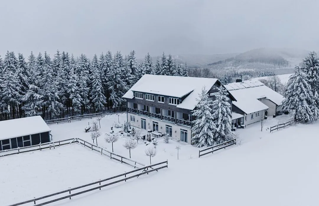 Wittgensteiner Landhaus Winterberg-1
