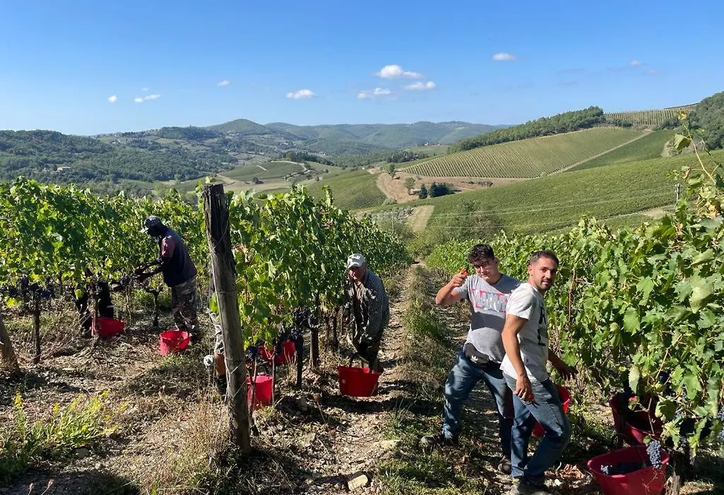 Fattoria Poggerino-1