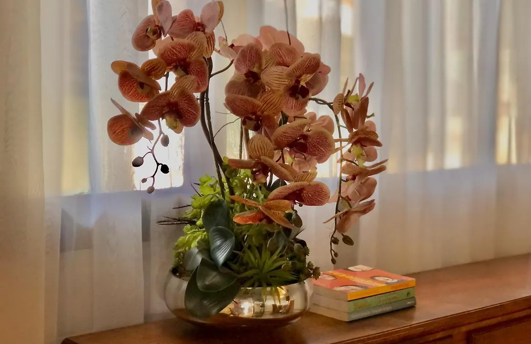 Pousada Jardins-1