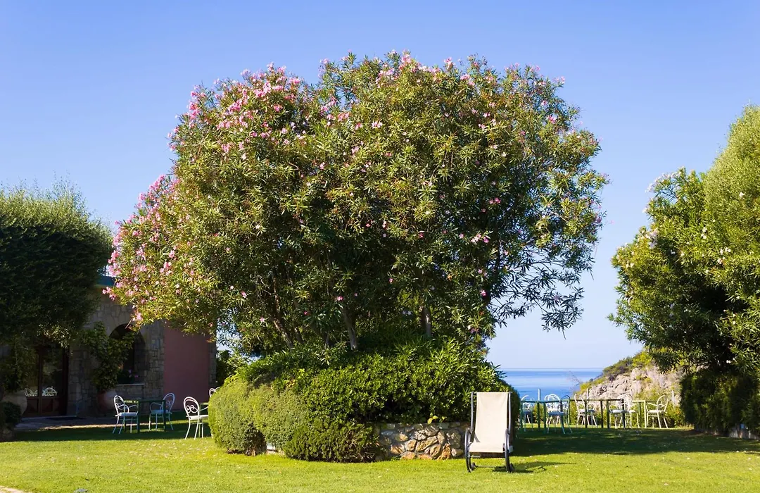 Hotel Capo D'Uomo-1