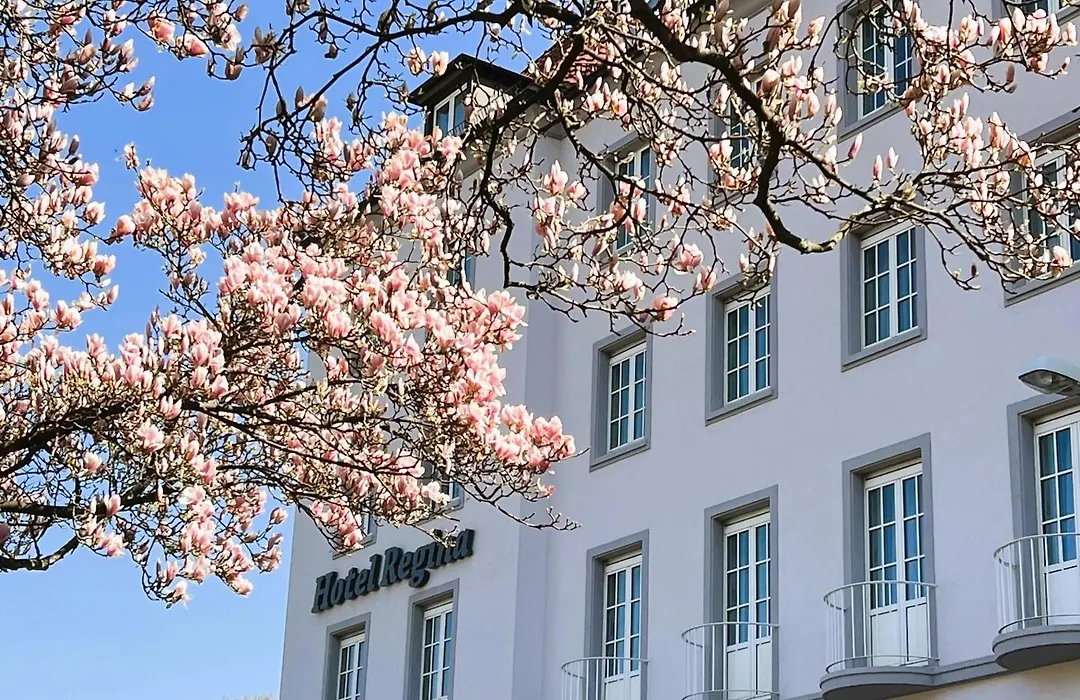 Hotel Regina-1