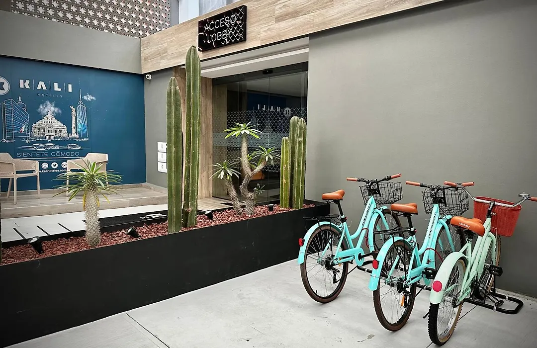 Kali Centro Mexico City-1