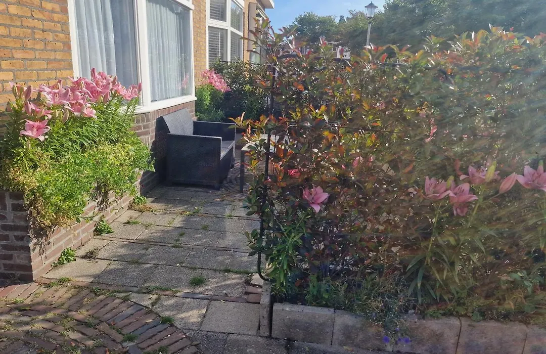Guesthouse Zandvoort-1