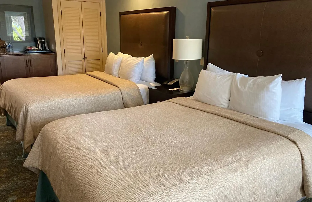 Blue Dolphin Inn-1