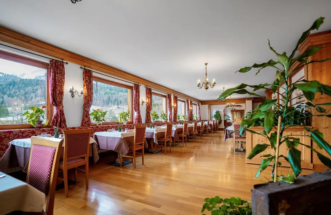 Hotel Des Alpes-1