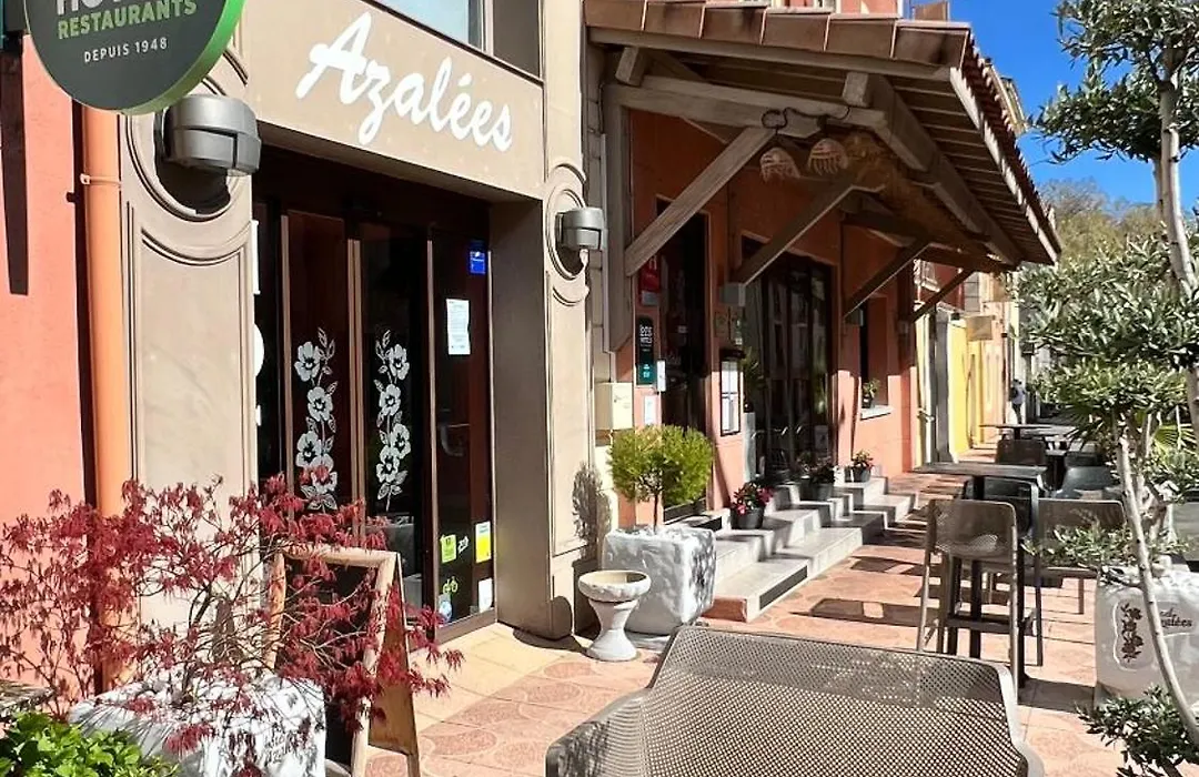 Azalées-1