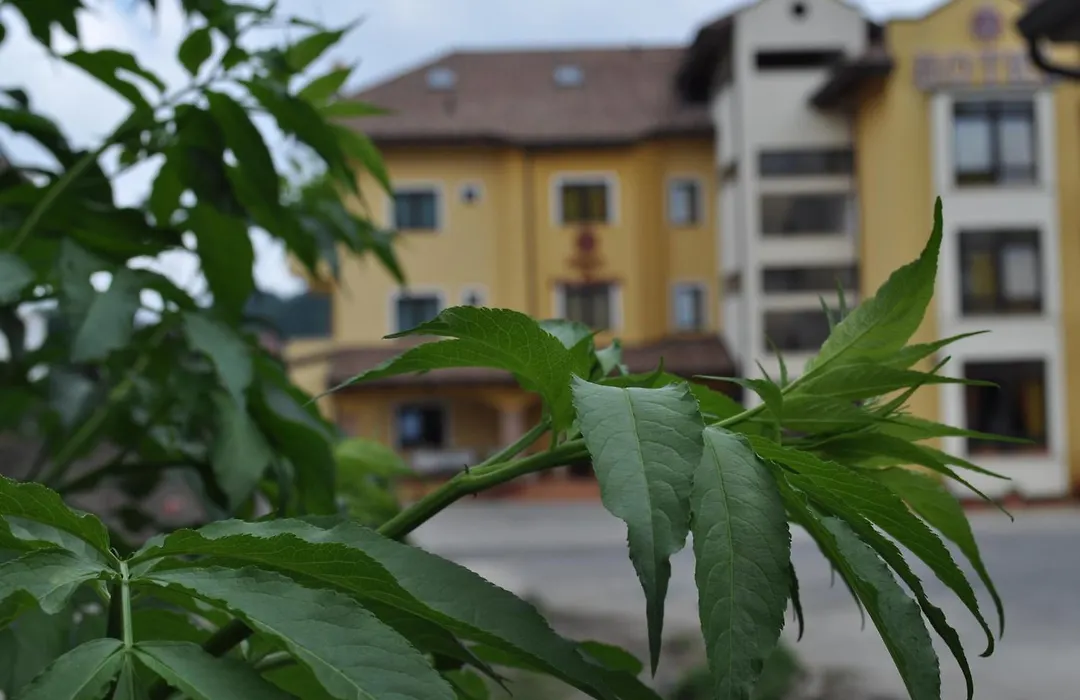 Hotel Duca Di Calabria-1