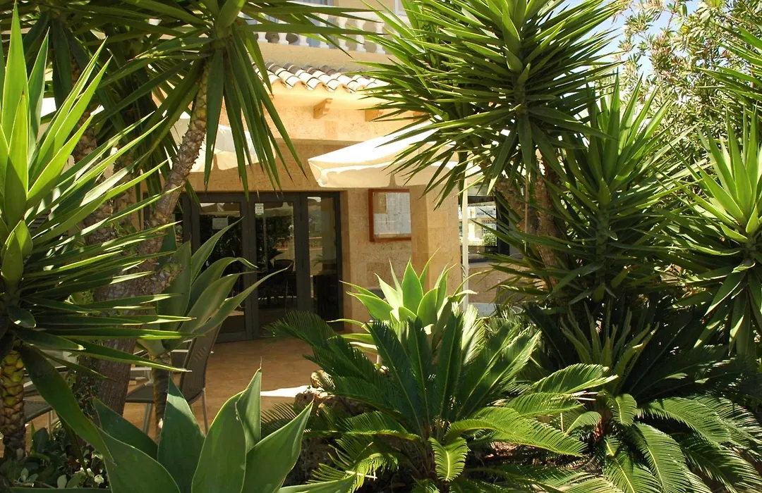 Hotel Noguera El Albir-1