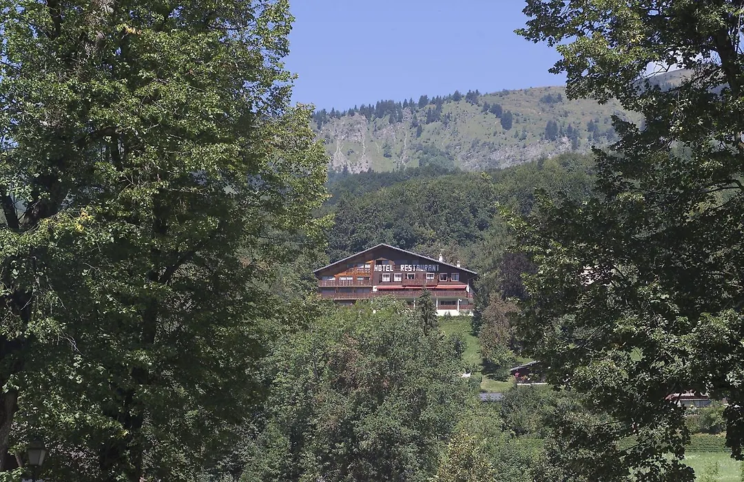 Edelweiss-1
