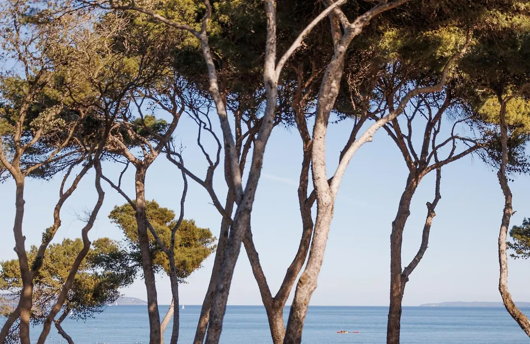 Domaine de la Mer - Les Pieds dans l'Eau-1
