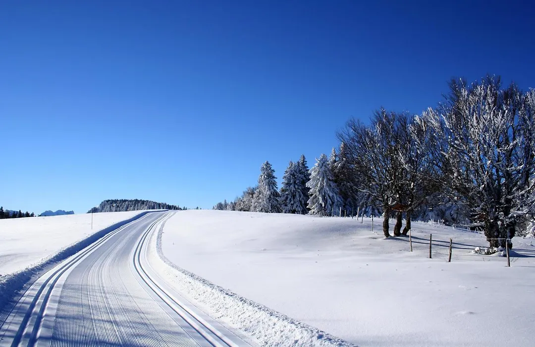 Logis Le Vernay-1