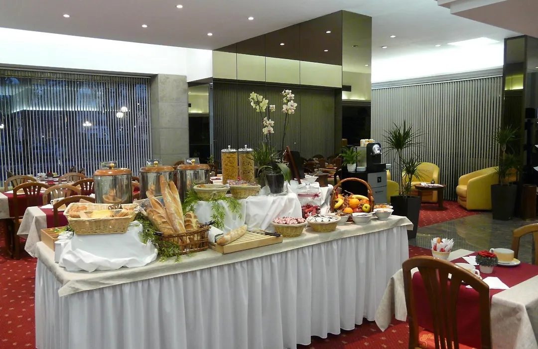 Hotel D'Angleterre Grenoble Hyper-Centre-1