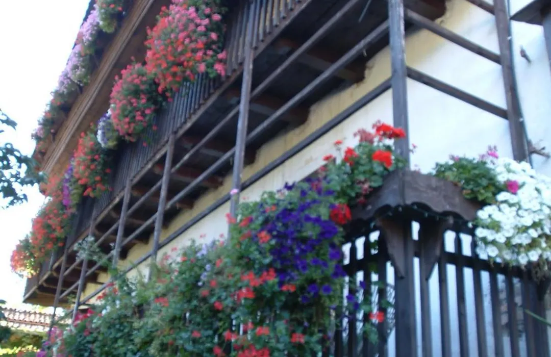 Villa Bertagnolli - Locanda Del Bel Sorriso-1
