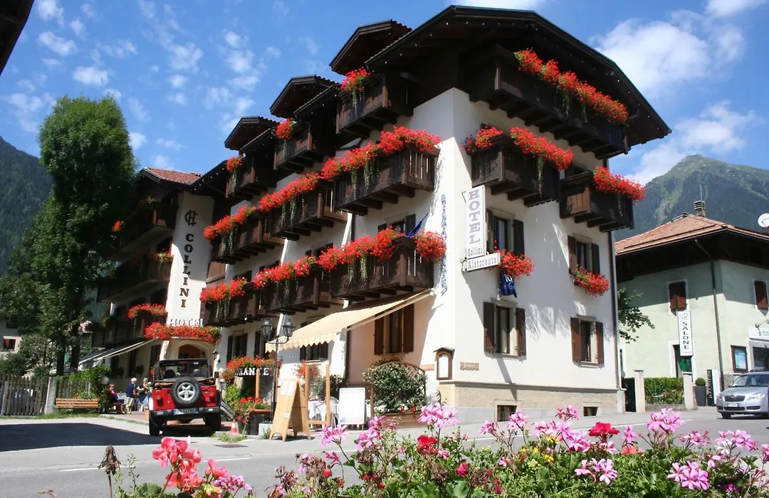 Hotel Collini-1