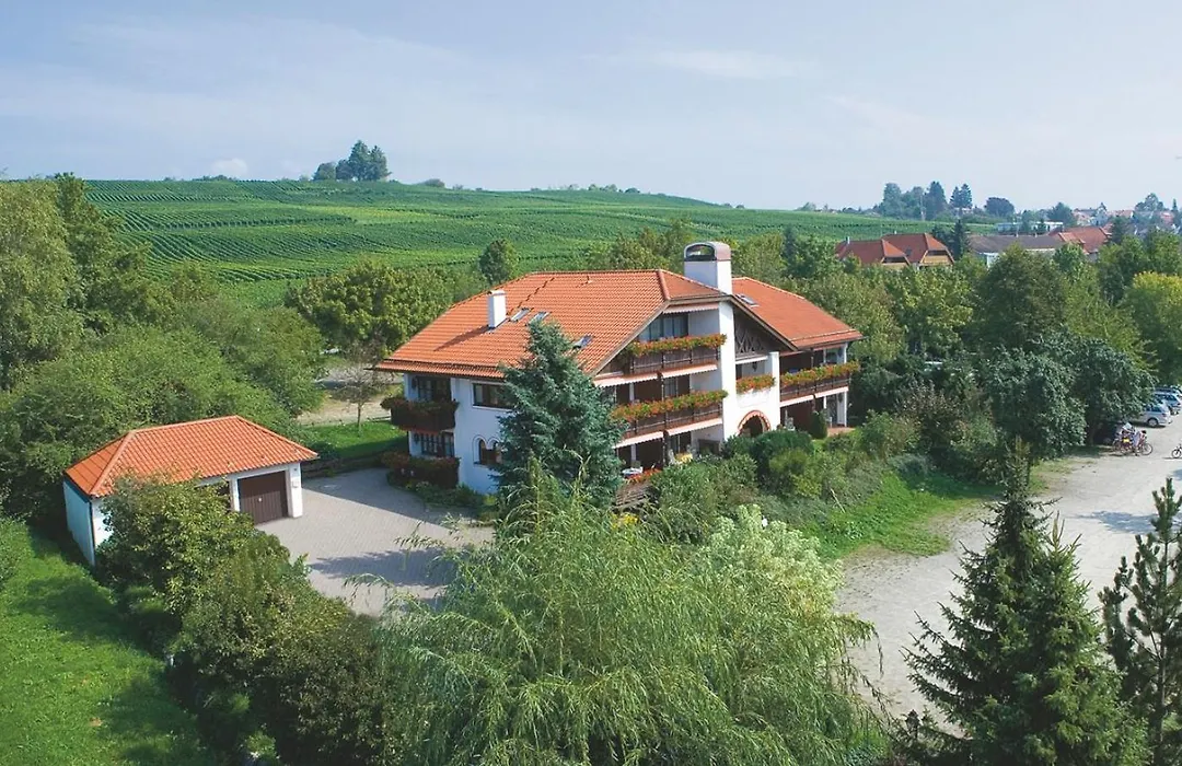 Hotel Alpina-1
