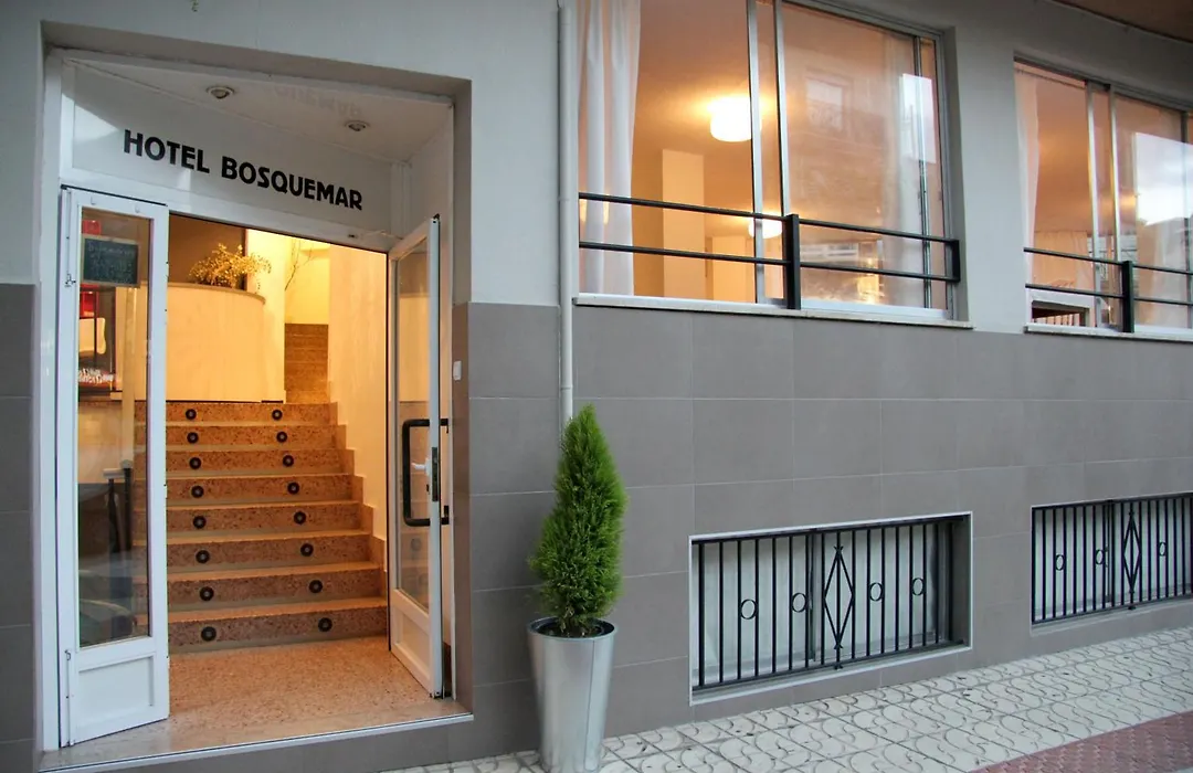 Hotel Bosquemar-1