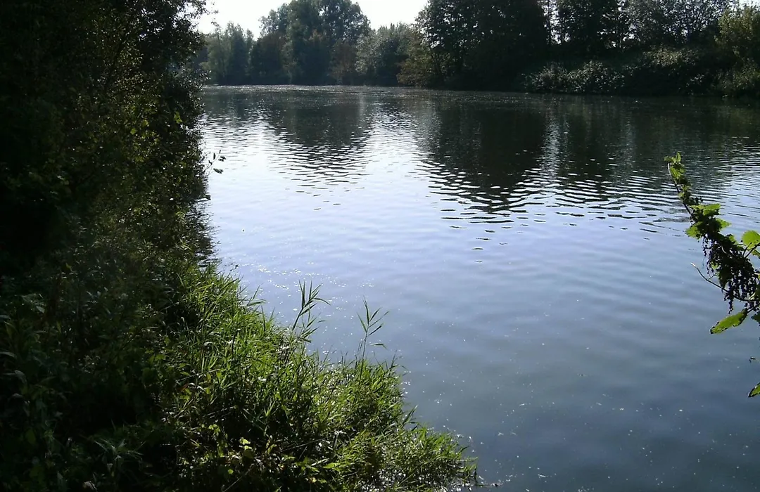 Leisewitz' Garten-1