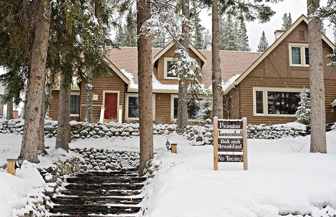 Banff Boutique Inn - Adults Only-1