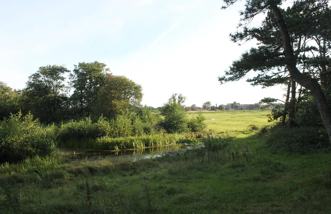 Hotel Studio Bosch Duin Strand-1