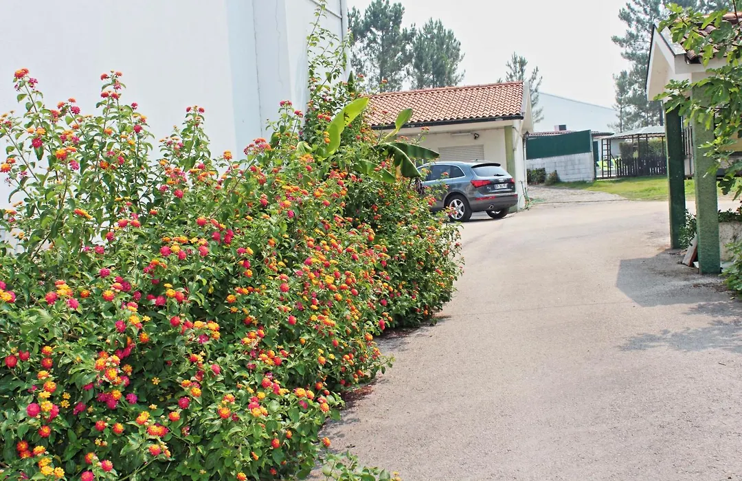 Residencial Pinho Verde-1
