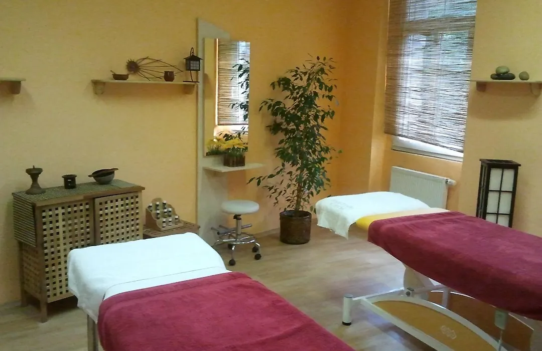 Saraya Wellness&Penzion-1