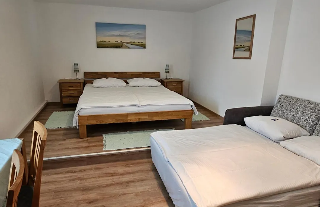 Hotel Hirsch-1