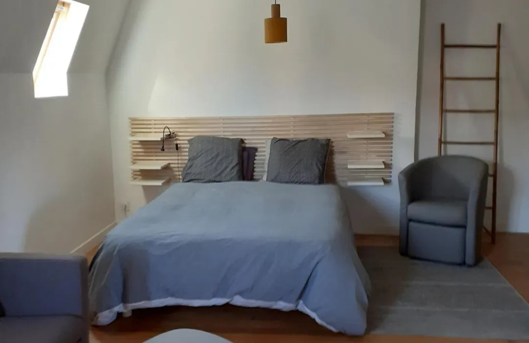 centre ville, chambre indépendante 20m2 et sa salle de bain privée-1