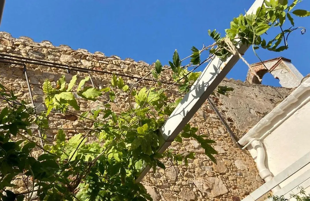 Ecoturisme Mas Ribas-1