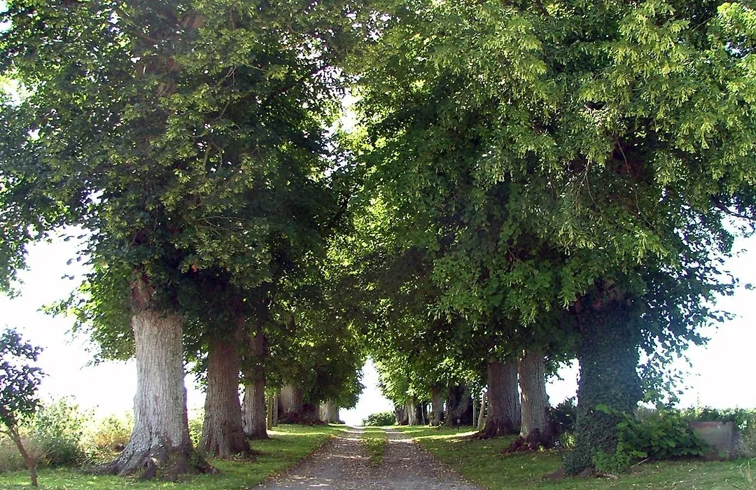Manoir de Coulandon-1