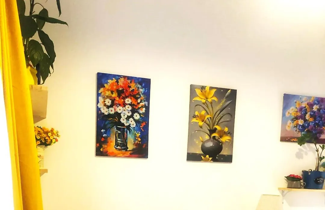 Hotel Nbl Color In-1
