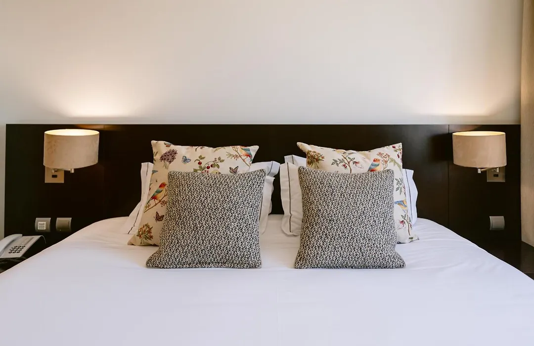 Hotel Conde De Agueda-1
