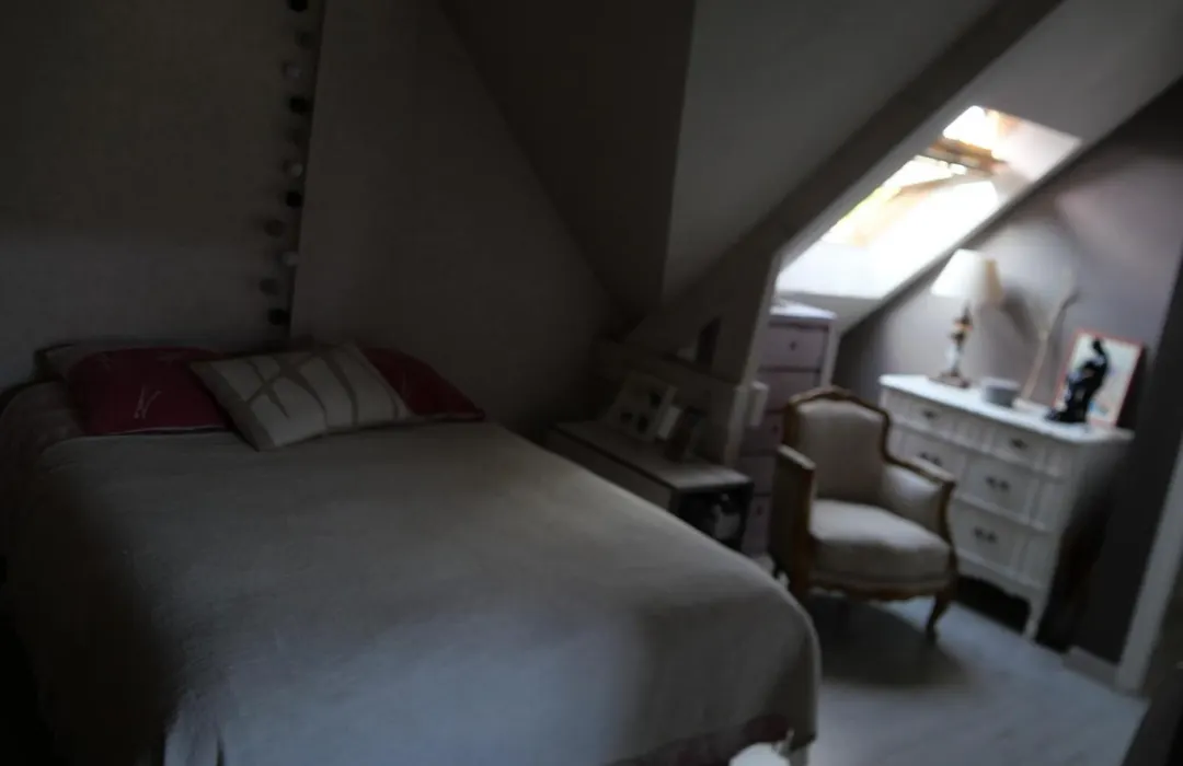 grande chambre lumineuse et spacieuse 22m2-1