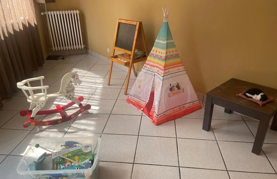 Hotel Regina-1