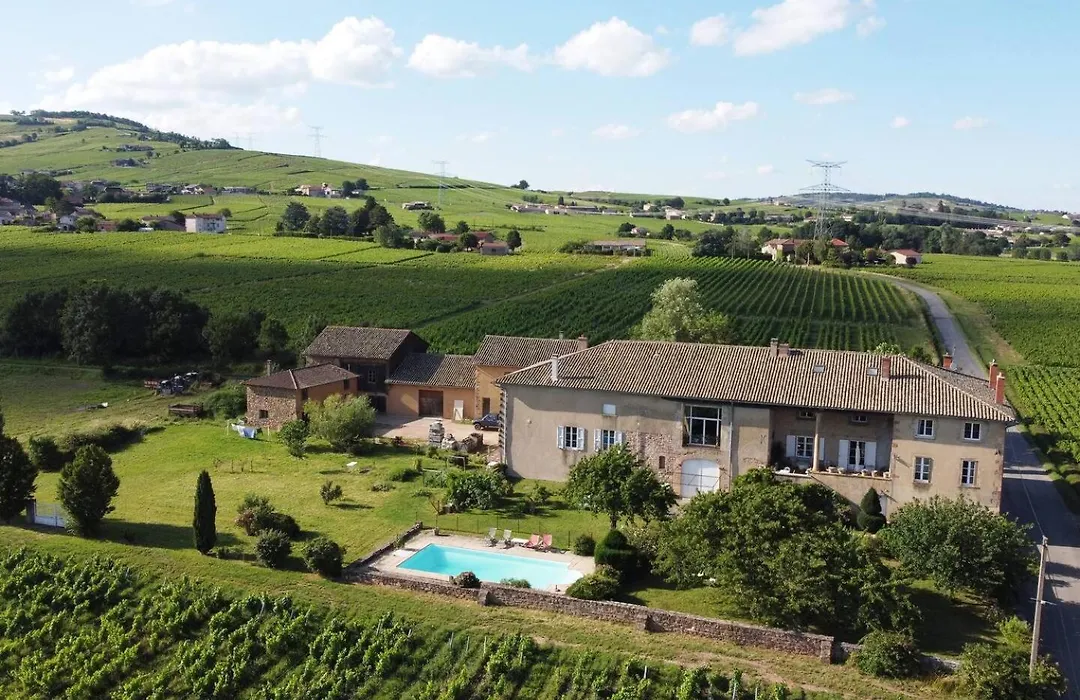 Domaine David Beaupere-1