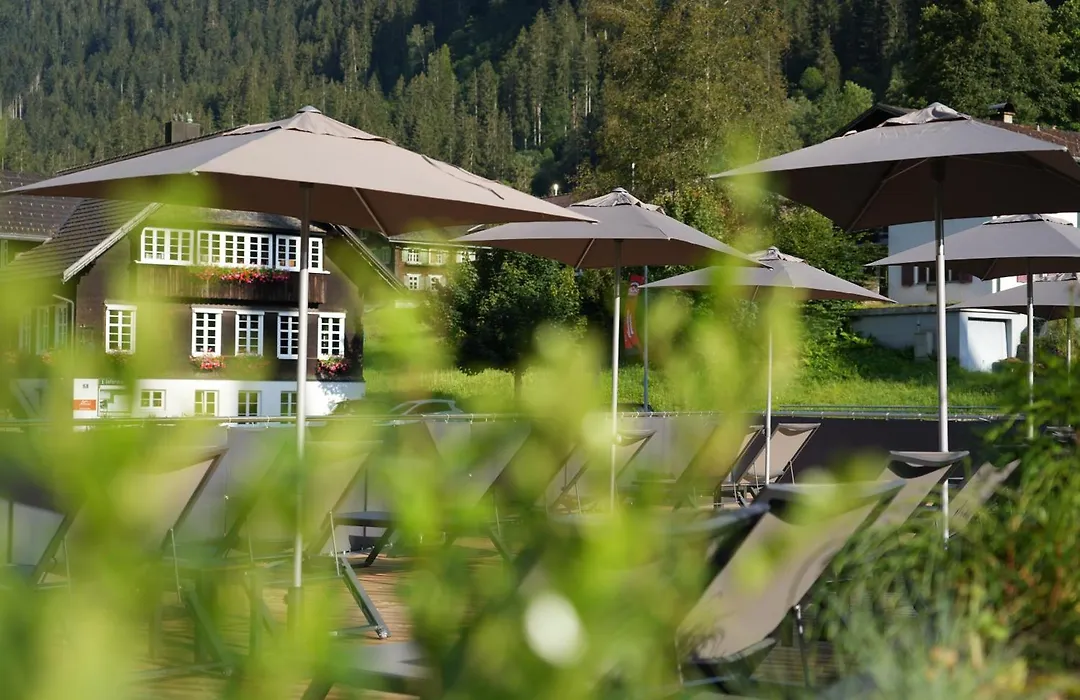 Hotel Bergkristall-1