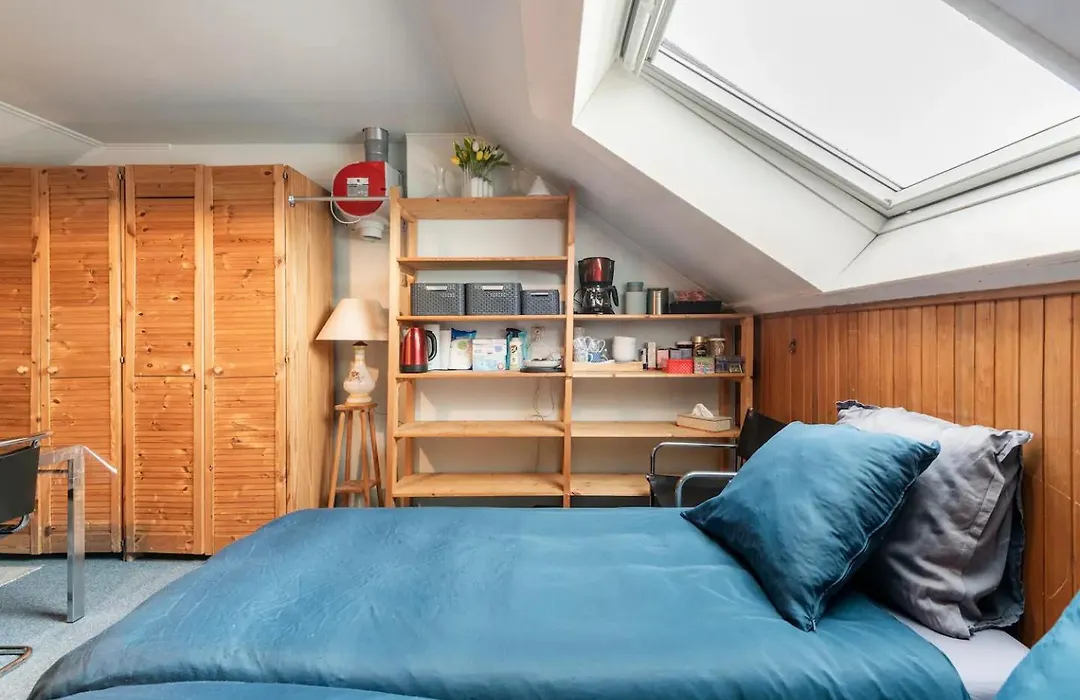 Cozy room in residential Alkmaar-1
