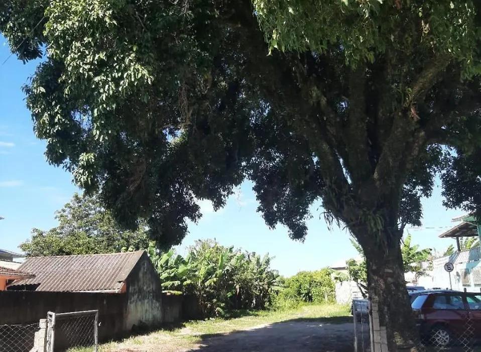 Pousada Hospedagem Palhoça com piscina-1