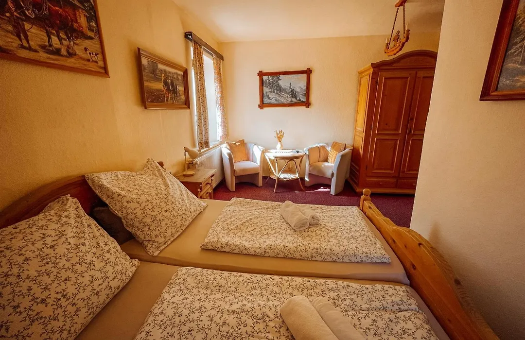 Pension Zum Erzgebirge-1
