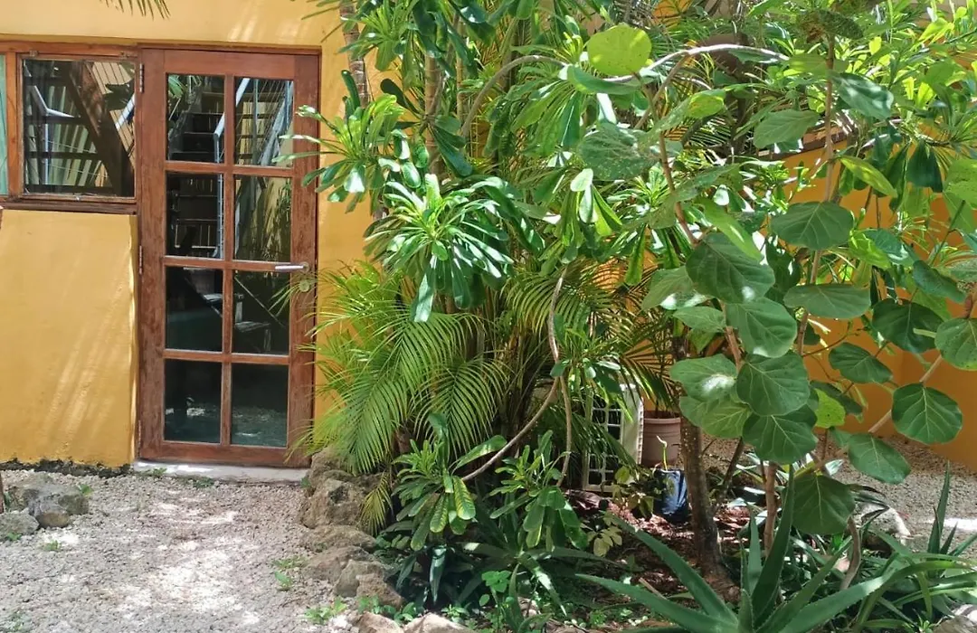 Casa Abanico Tulum-1