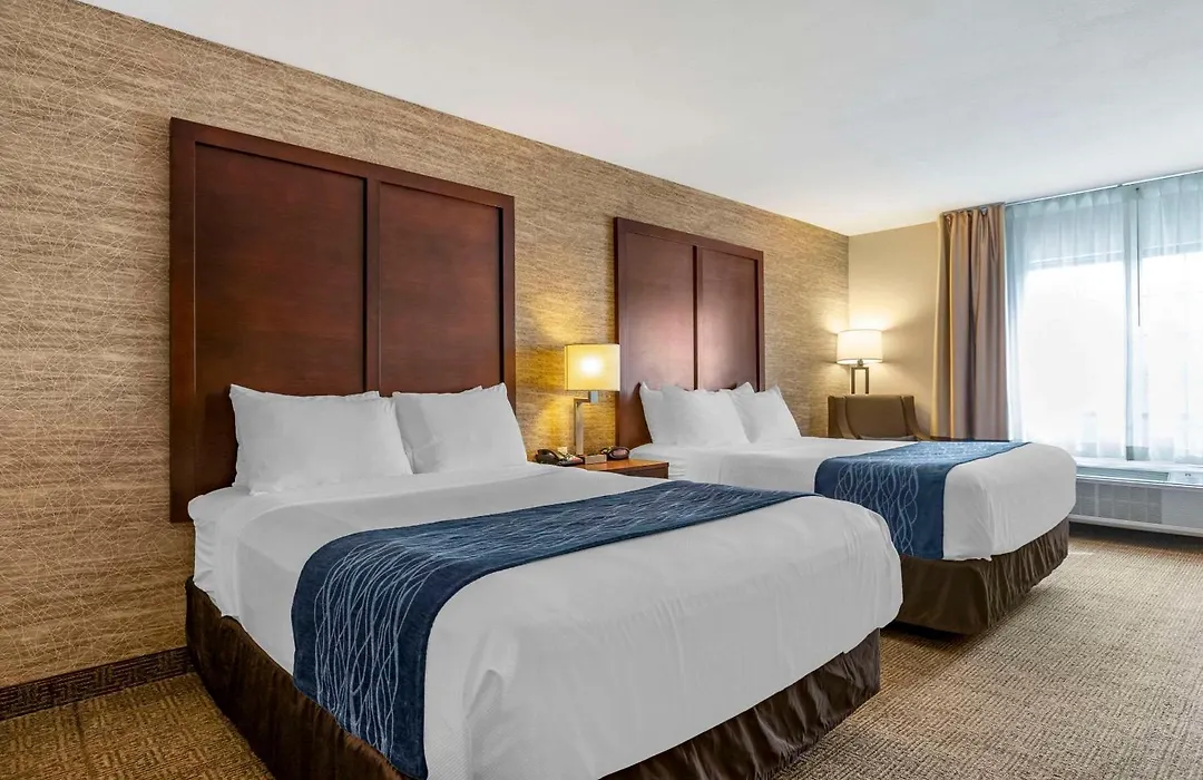 Comfort Inn & Suites Ludington Near Us-10-1