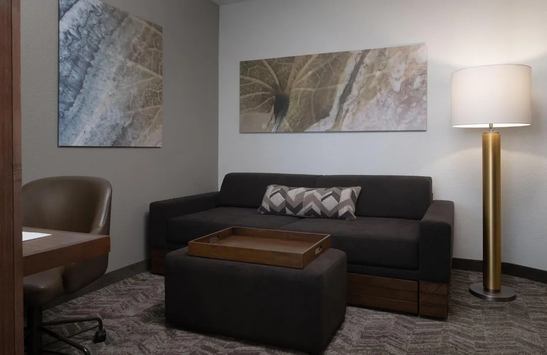 Springhill Suites By Marriott Orlando At Flamingo Crossings Town Center-Western Entrance-1