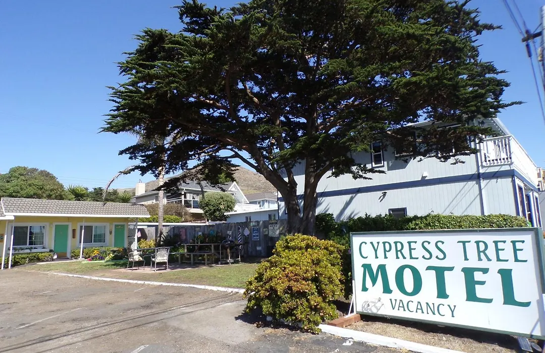 Cypress Tree Motel-1